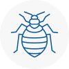 Bed Bug Extermination In Rochdale
